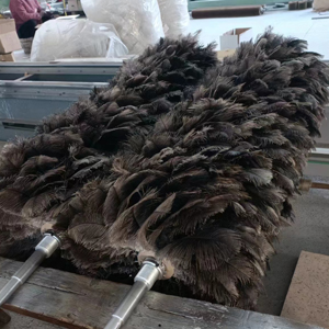 自動擦凈機鴕鳥毛刷